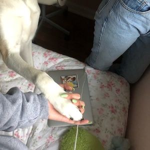 Meet your Posher, Anouk